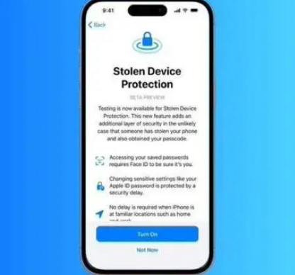 阜龙乡苹果授权维修店分享被盗设备保护功能开启方法 