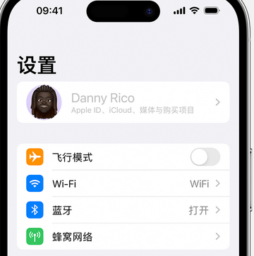 阜龙乡appleID维修服务iPhone设置中Apple ID显示为灰色无法使用 