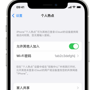 阜龙乡apple服务站点分享iPhone上个人热点丢失了怎么办