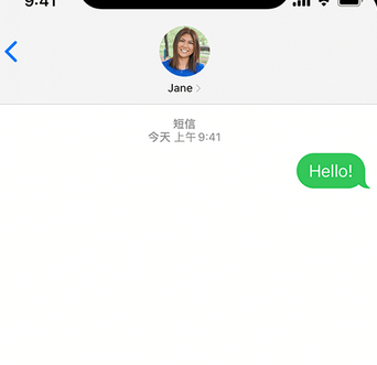 阜龙乡apple维修iPhone上无法正常发送iMessage信息