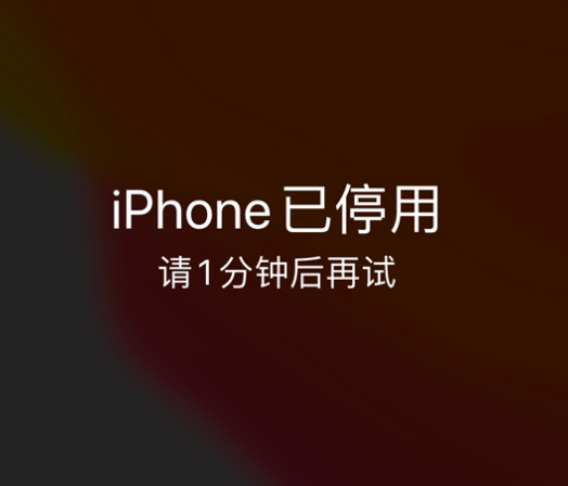 阜龙乡苹果手机维修分享:iPhone 显示“不可用”或“已停用”怎么办？还能保留数据吗？ 