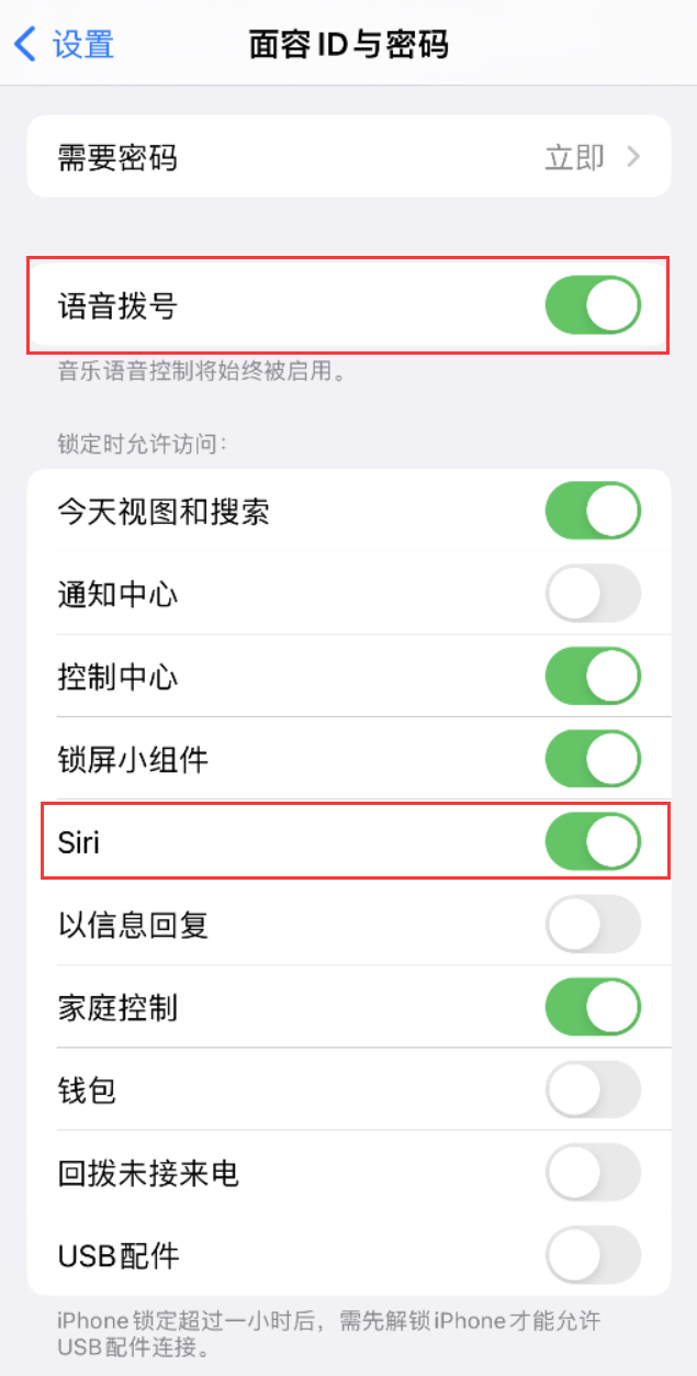 阜龙乡苹果维修网点分享不解锁 iPhone 的情况下通过 Siri 拨打电话的方法 