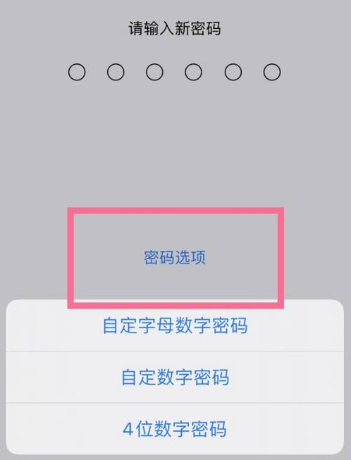 阜龙乡苹果14维修分享iPhone 14plus设置密码的方法 