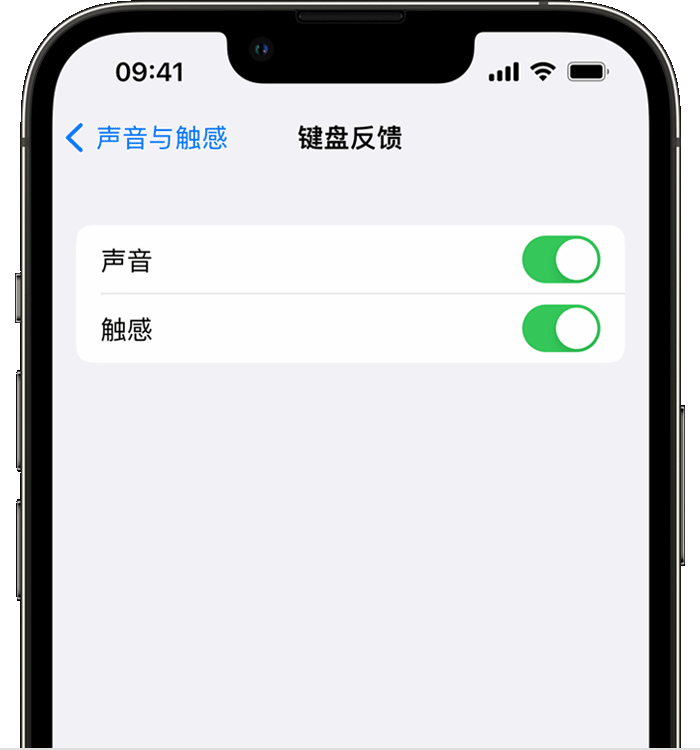 阜龙乡苹果14维修分享iPhone 14 系列机型如何开启键盘声音或触感反馈 