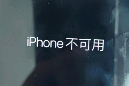 阜龙乡苹果服务网点分享锁屏界面显示“iPhone 不可用”如何解决 