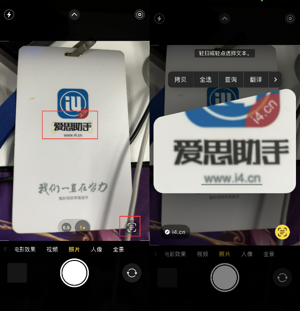 阜龙乡苹果手机维修分享升级iOS 16后如何通过相机翻译文本 