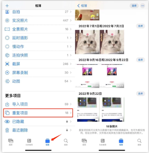 阜龙乡苹果手机维修分享iOS 16 中相册重复项目功能使用方法 
