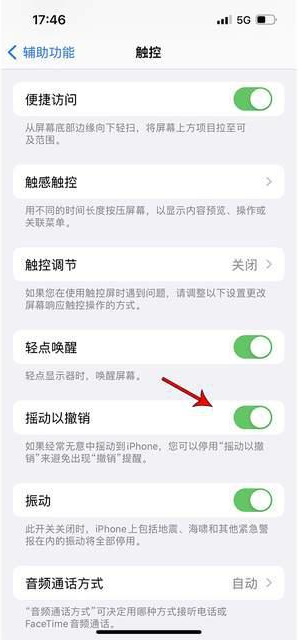 阜龙乡苹果手机维修分享iPhone手机如何设置摇一摇删除文字 