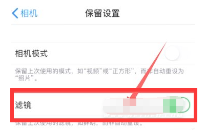 阜龙乡苹果13维修分享iPhone13拍照有绿点是怎么回事 