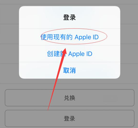 阜龙乡苹果手机维修分享两台iPhone设备可以同时登录一个Apple ID吗 