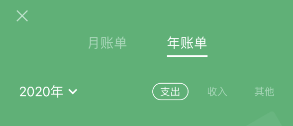 阜龙乡苹果手机维修分享如何在 iPhone 上查看支付宝和微信年支出账单 